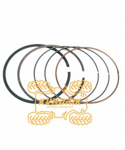 Оригінальні поршневі кільця для квадроциклів Segway Snarler AT6 F01B00020001