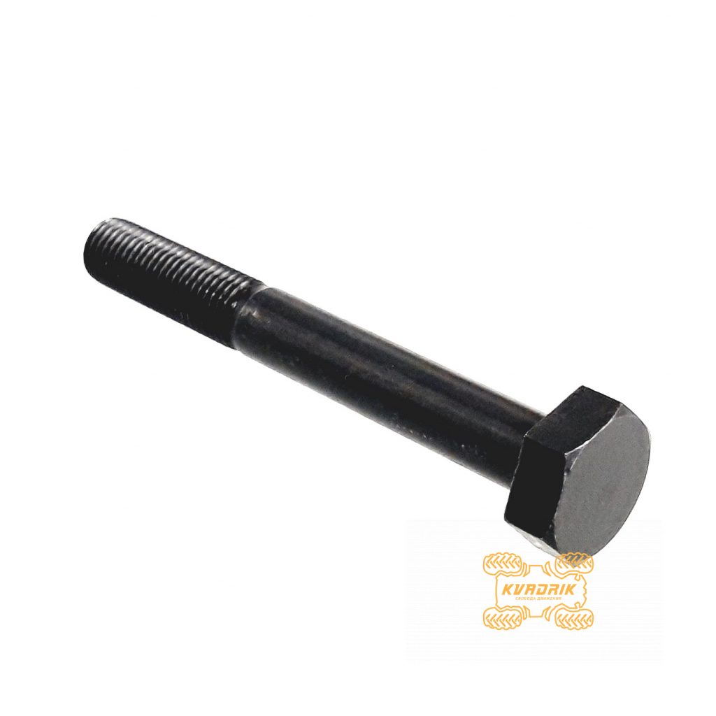 Оригінальний болт кріплення відомого варіатора (M10×1.25×80) для квадроциклів Segway Snarler AT6    F01E10006001