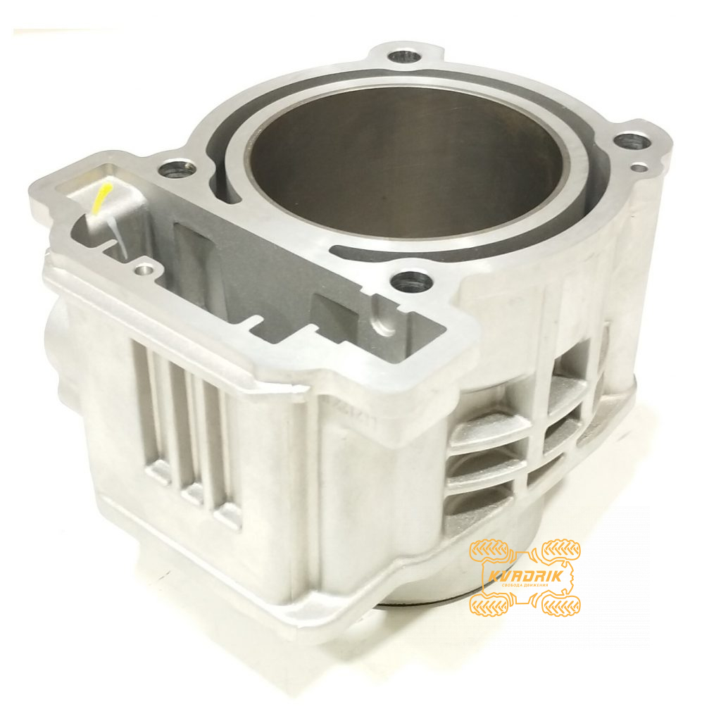Оригінальний циліндр для CFMoto 600 (група 2) 0GS0-023100-10021